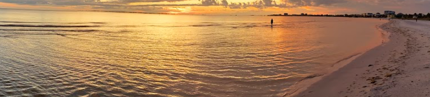 Beach view